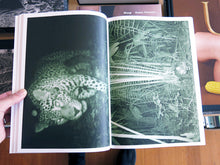 Load image into Gallery viewer, Alex Hanimann - Trapped