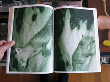 Load image into Gallery viewer, Alex Hanimann - Trapped