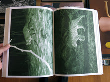 Load image into Gallery viewer, Alex Hanimann - Trapped