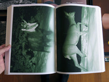 Load image into Gallery viewer, Alex Hanimann - Trapped