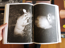 Load image into Gallery viewer, Alex Hanimann - Trapped