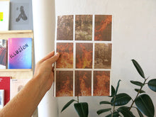 Load image into Gallery viewer, Peter Sutherland - Flames