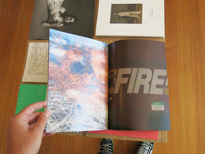 Peter Sutherland - Flames