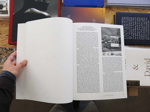 Simon Denny – Landscapes