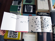 Load image into Gallery viewer, Cédric Eisenring - Eisenring