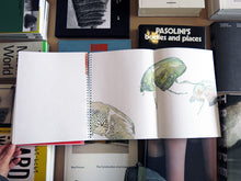 Load image into Gallery viewer, Cédric Eisenring - Eisenring