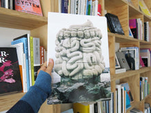 Load image into Gallery viewer, Daniel Dewar and Grégory Gicquel – Le pied, le pull-over et le système digestif