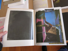 Load image into Gallery viewer, David Renggli – 25% Painting