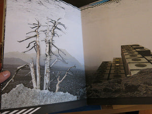 Monica Ursina Jäger - Topographies