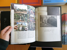 Load image into Gallery viewer, Christoph Draeger &amp; Heidrun Holzfeind – COMME-CI COMME-ÇA [The Auroville Project]