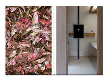Load image into Gallery viewer, [FORTHCOMING] Izabela Pluta – Lumina