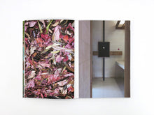 Load image into Gallery viewer, Izabela Pluta – Lumina: The Photic Atlas