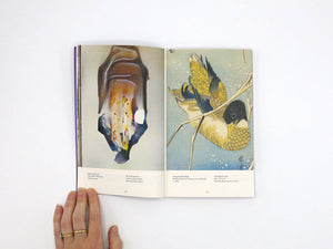 James Tunks – AI (Art Index)