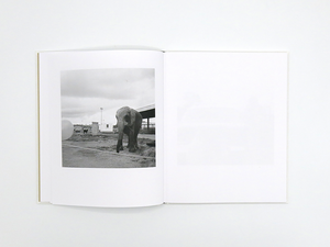 Kathryn McCool – P.North