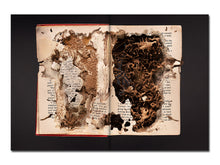 Load image into Gallery viewer, [FORTHCOMING] Liss Fenwick – The Colony