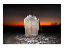 Load image into Gallery viewer, [FORTHCOMING] Liss Fenwick – The Colony