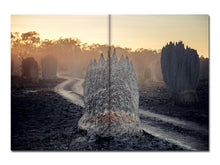 Load image into Gallery viewer, [FORTHCOMING] Liss Fenwick – The Colony