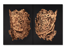 Load image into Gallery viewer, [FORTHCOMING] Liss Fenwick – The Colony