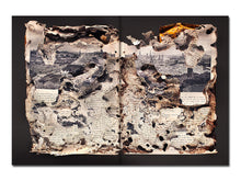 Load image into Gallery viewer, [FORTHCOMING] Liss Fenwick – The Colony