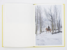 Load image into Gallery viewer, Bec Parsons – Lone Dove