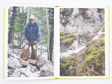 Load image into Gallery viewer, Bec Parsons – Lone Dove