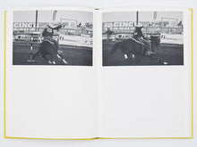 Load image into Gallery viewer, Bec Parsons – Lone Dove