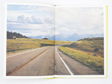 Load image into Gallery viewer, Bec Parsons – Lone Dove