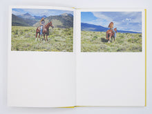 Load image into Gallery viewer, Bec Parsons – Lone Dove