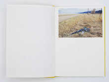 Load image into Gallery viewer, Bec Parsons – Lone Dove