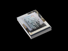 Load image into Gallery viewer, Dale Frank, Artist. Artworks 2006–2023