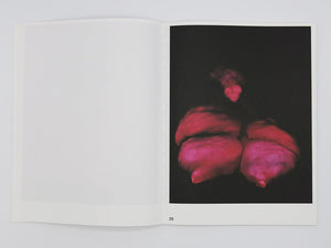 Polly Borland – Morph