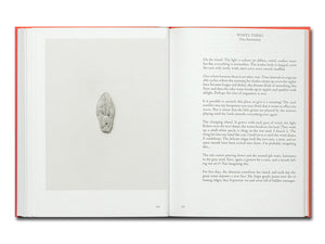[FORTHCOMING] Pretenzione Intenzione: Objects of Beauty and Bewilderment from the Archive of Harald Szeemann