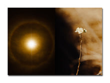 Load image into Gallery viewer, [FORTHCOMING] CCP.PE.Z004 Ryley Clarke – Tomorrow