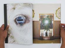 Load image into Gallery viewer, Sarah Walker – Second Sight