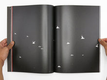 Load image into Gallery viewer, Sarah Walker – Second Sight
