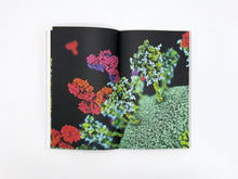 Load image into Gallery viewer, Sight Unseen: Visualising the Unseeable through Art and Science