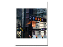 Load image into Gallery viewer, David Rothenberg – Roosevelt Station