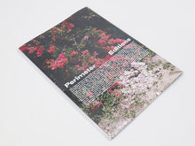 Load image into Gallery viewer, Dafy Hagai – Spring