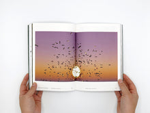 Load image into Gallery viewer, Sriwhana Spong: HA HA HA