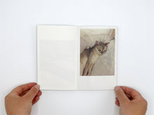 Load image into Gallery viewer, Takashi Homma – This Is Not My Cat