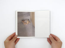 Load image into Gallery viewer, Takashi Homma – This Is Not My Cat