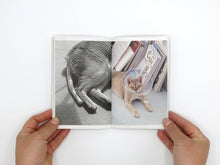 Load image into Gallery viewer, Takashi Homma – This Is Not My Cat