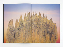 Load image into Gallery viewer, Liss Fenwick – The Colony