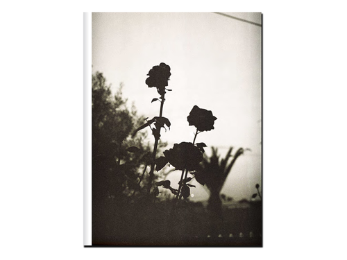 Sarah Walker – The Well