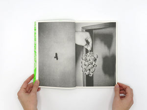 Luke Le – What are you looking for?