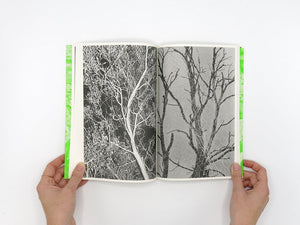 Luke Le – What are you looking for? [Second Edition]