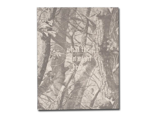 Dylan Hausthor – What the Rain Might Bring