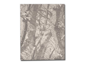 Dylan Hausthor – What the Rain Might Bring