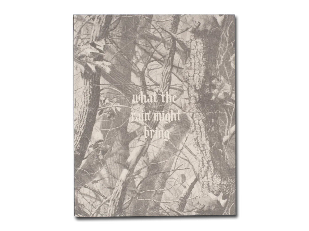 Dylan Hausthor – What the Rain Might Bring