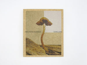 Ying Ang – Fruiting Bodies